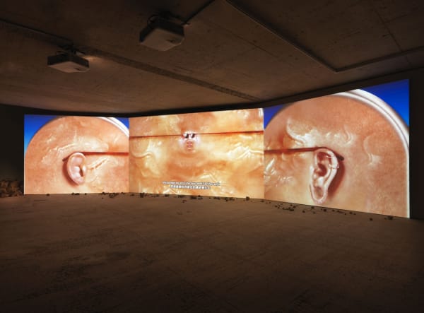 Wong Ping installation view of Earwax