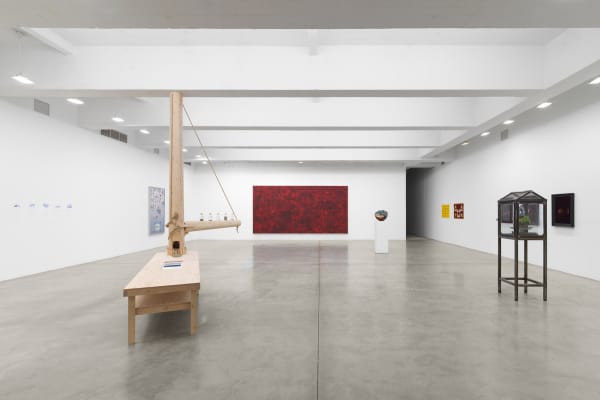 fruiting bodies installation images.