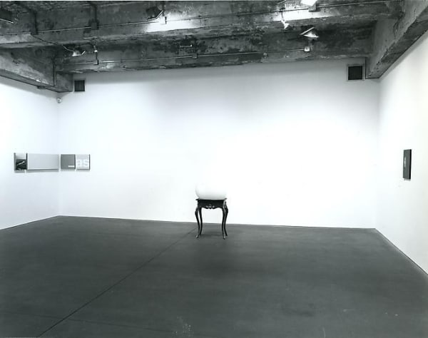 percursor install shot