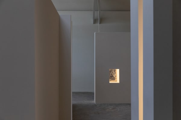 Installation view of with what eyes? Curated by Diego Villalobos CCA Wattis Institute, San Francisco.