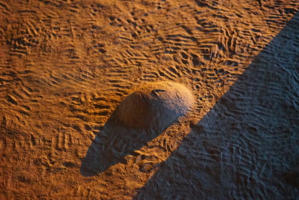 Installation view at Parallel Oaxaca, Mexico.