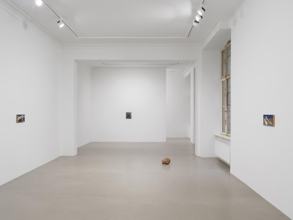 Image of Rodrigo Hernández: stars around this beautiful moon hide back their luminous form.