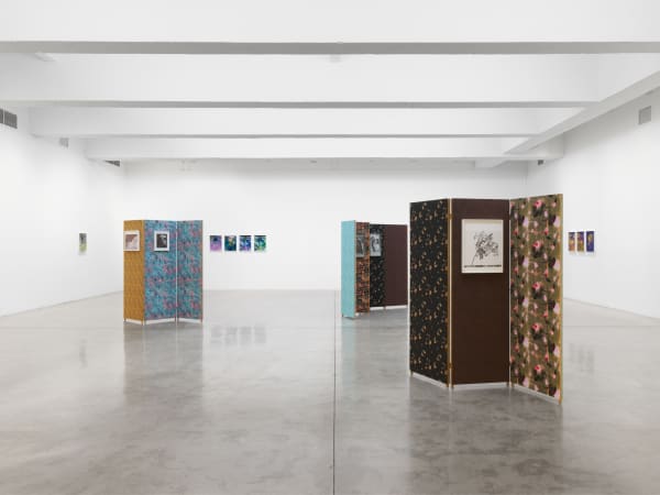 Lisa Oppenheim's installation images at TBG 2025.