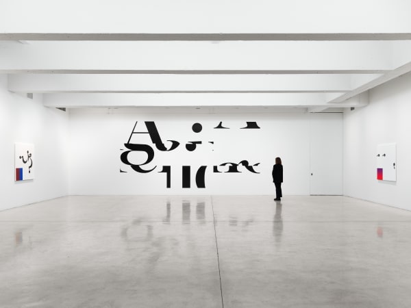 Haim Steinbach installation image at TBG 2026.