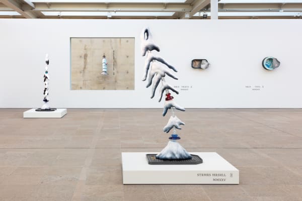 Magali's installation image at Museum Beelden aan Zee.