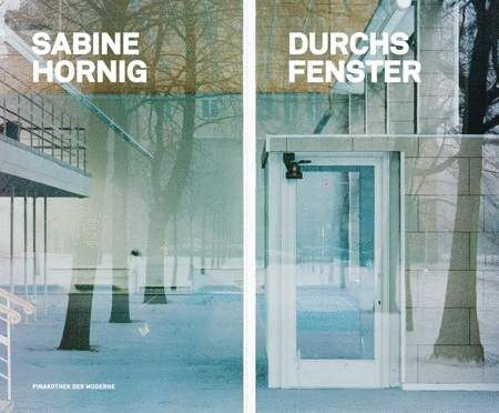 Book cover for Sabine Hornig: Durchs Fenster