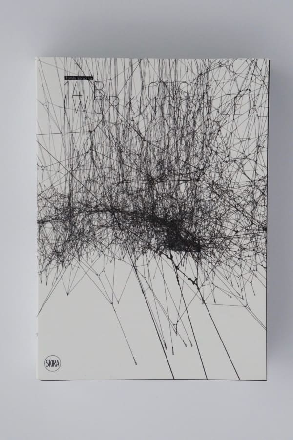 book cover of Tomas Saraceno: 14 Billions (Working TItle)