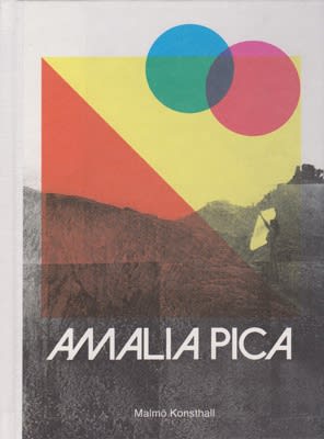 Pica book cover