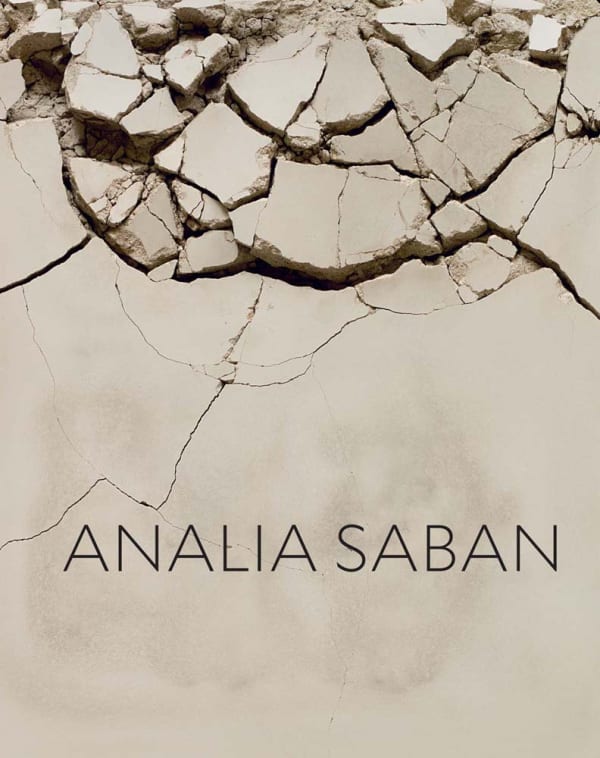 cover of Analia Saban book