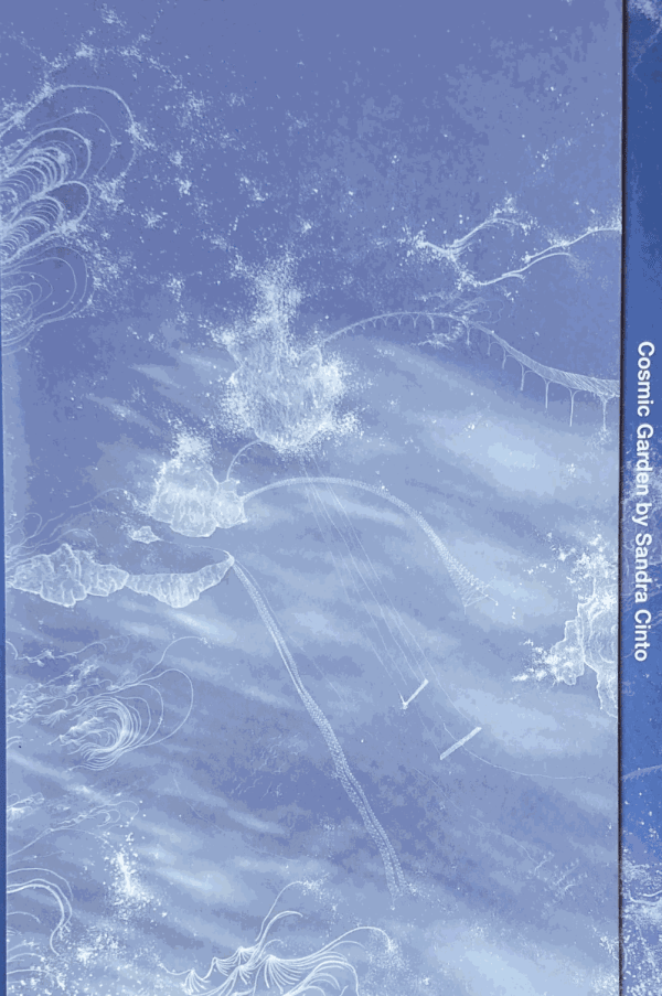 Book cover image of Sandra Cinto Cosmic Garden.