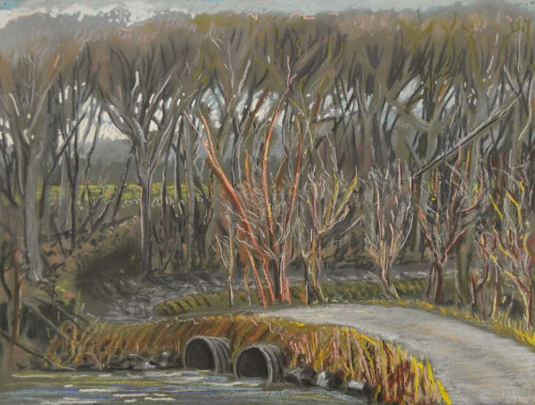 Brinsley Tyrrell