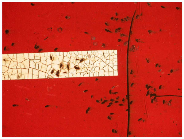 Claudia Smiley, Whiteline Red, 2006