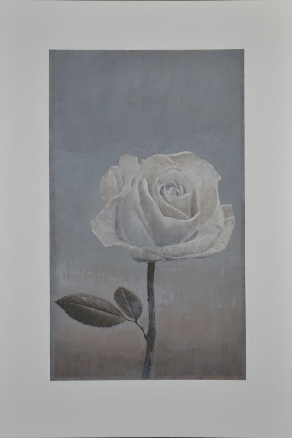 Michael Kellers, White Rose, 2011