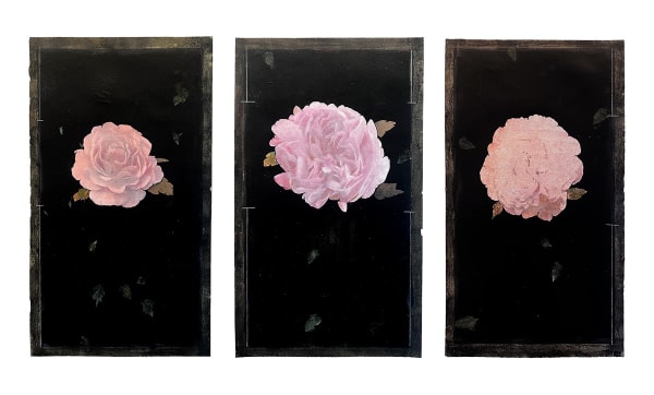 Michael Kellers, 3 Studies in Pink, 2024