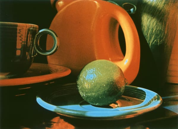 Claudia Smiley Robust Rim, 2009 chromogenic print photo 16 x 20 in