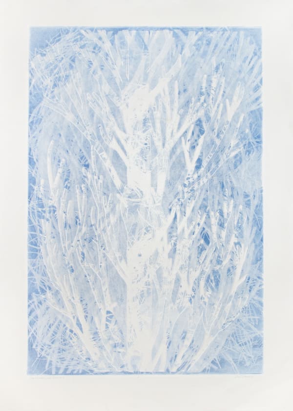 Lisa Schonberg, Tree Devotion, Wind Event #3, 2019