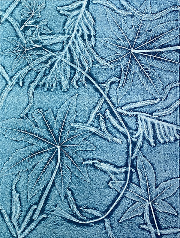Lisa Schonberg, Big Leaf Dance #2, 2024