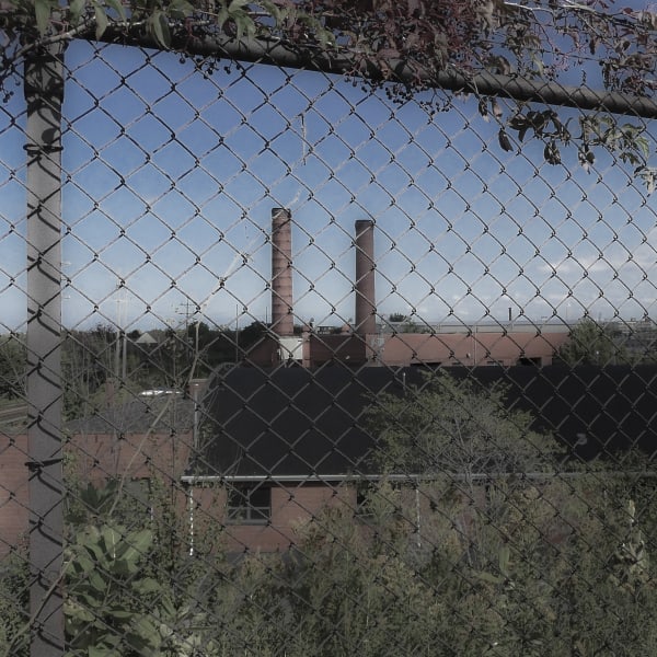 John Tellaisha, Fence Vista, 2014