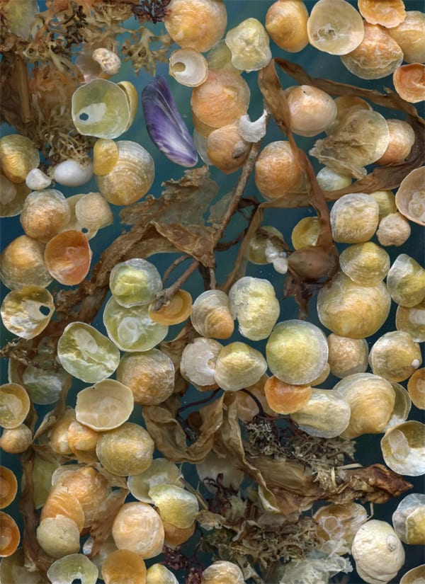 Ron Barron, Untitled #6 (Adrift Series), 2019