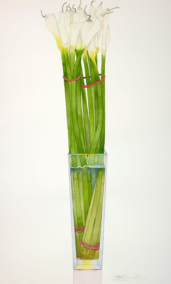 Gary Bukovnik, Graceful Calla Lilies, 2018