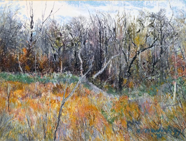 Alex Martonhegyi, Misty Trees