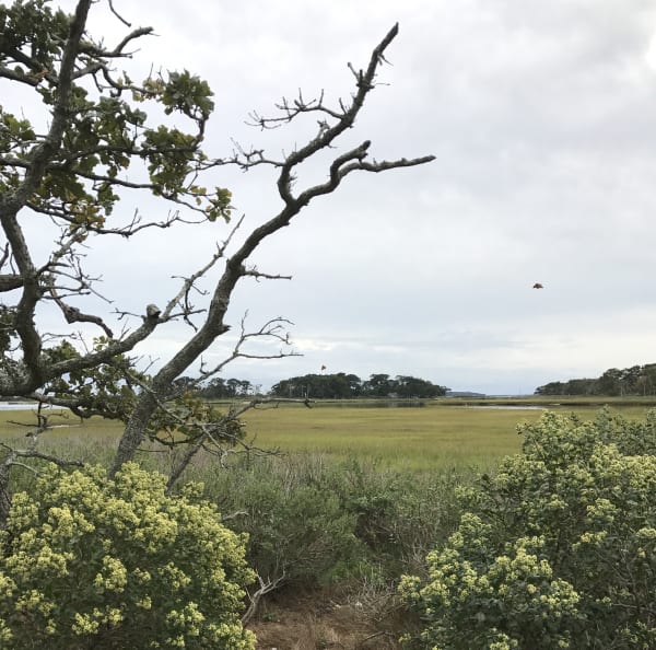 Ron Barron, Mysterious Kites (NY), 2018