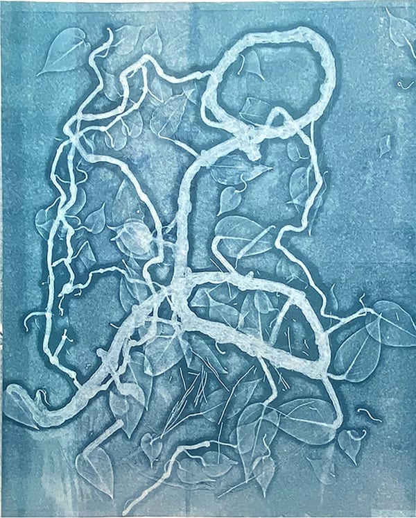 Lisa Schonberg, Pothos Interplay #2, 2023