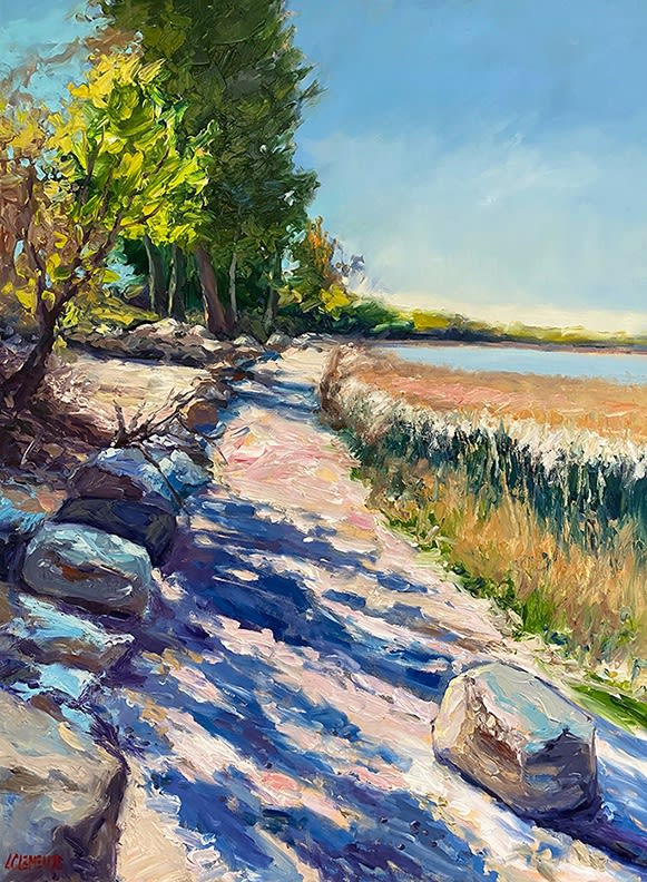 Laurie Clements, Michigan Light