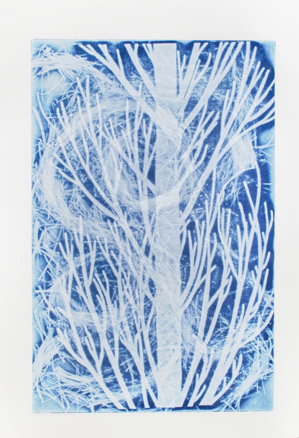Lisa Schonberg, Tree Devotion, Wind Event #2, 2019
