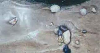 Mary Lou Ferbert, Sea/Shore VI, 2005