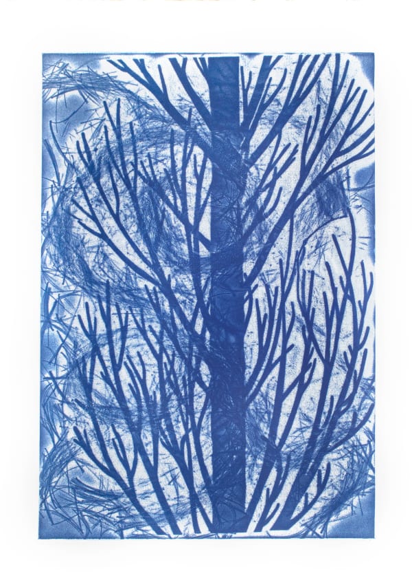 Lisa Schonberg, Tree Devotion, Wind Event #1, 2019