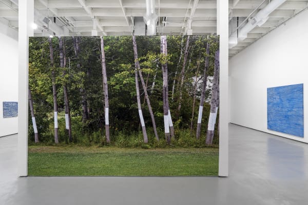 Bonnier Gallery Install 10