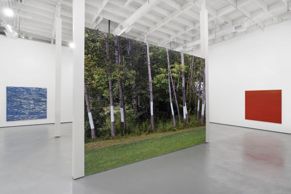 Bonnier Gallery Install 11
