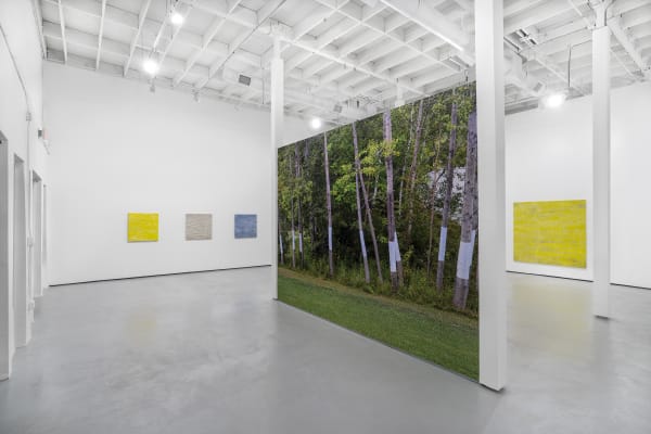 Bonnier Gallery Install 9