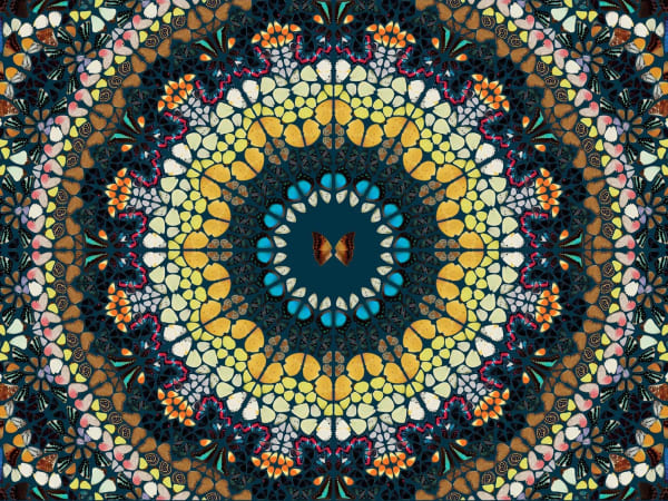 Damien Hirst