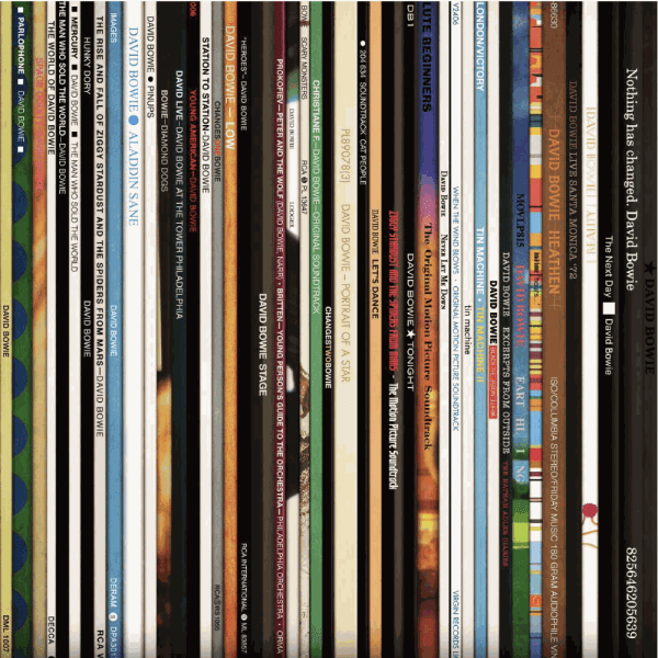 Keith Haynes, Spines #2 Bowie