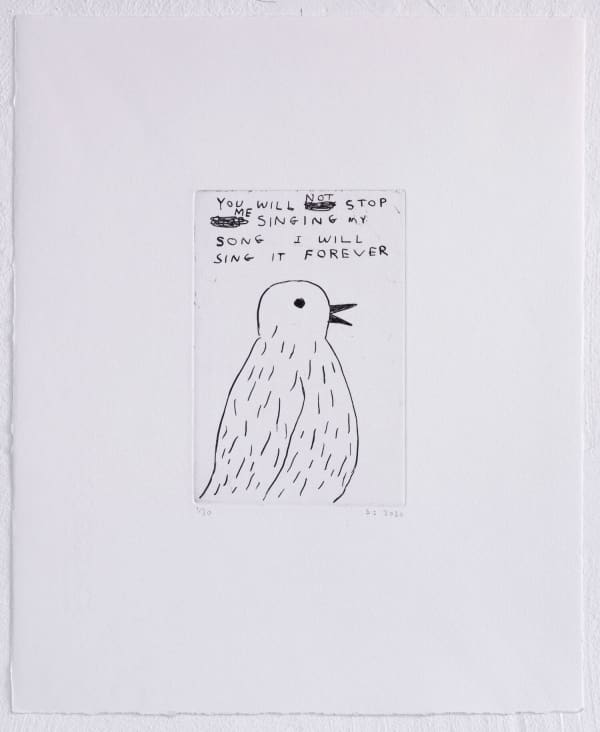 David Shrigley Works The Drang Gallery