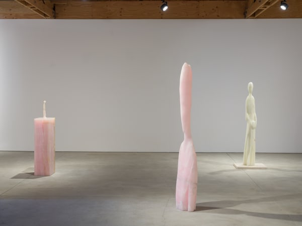 Yvesscherer Anotherdayinparadise Install 41