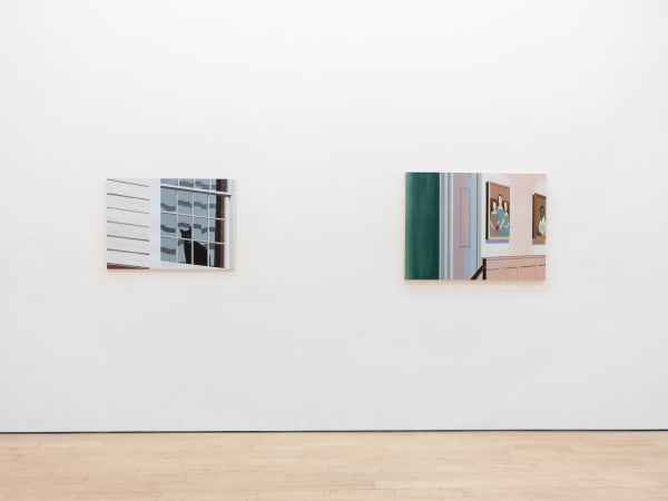 Emily Pettigrew Dear Diary, the Villagers aren't Accepting Me Installation View 2