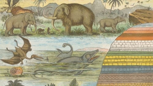 Gifts for Scientists