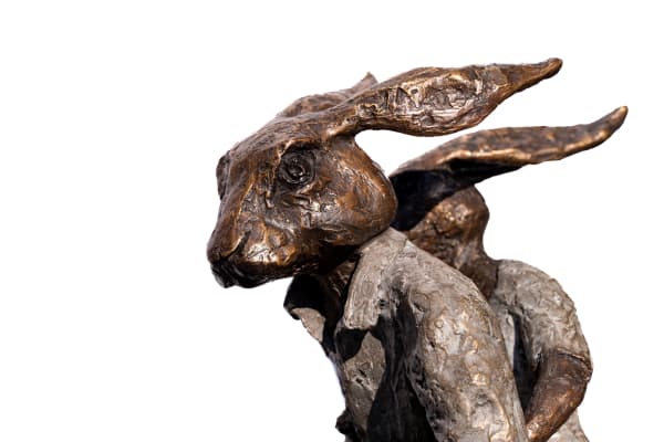 A FRECKLE PAST A ‘HARE’