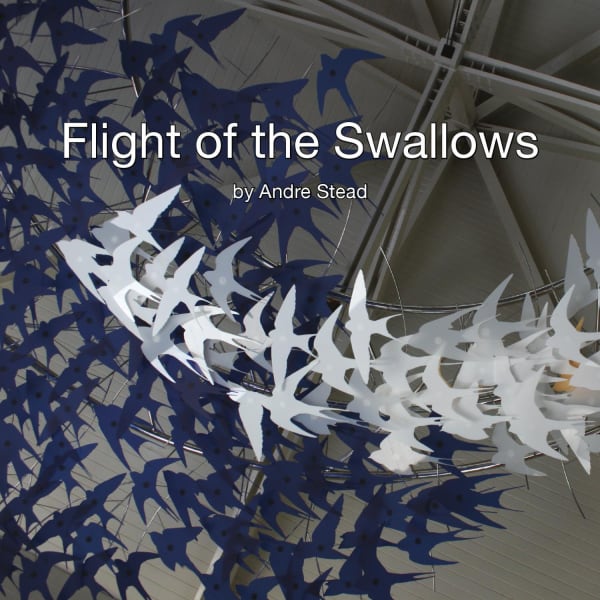 Flight of the swallows