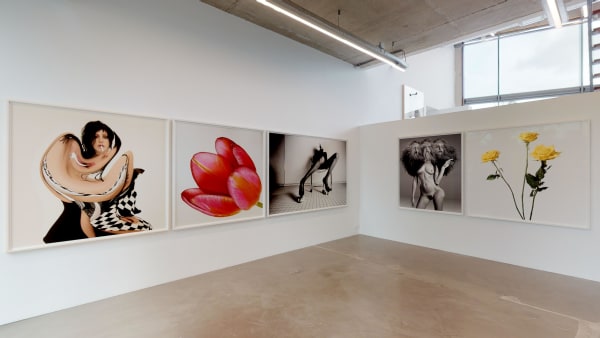 The Ravestijn Gallery I See You In Everything Inez Vinoodh 09202019 094531