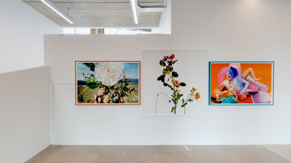 The Ravestijn Gallery I See You In Everything Inez Vinoodh 09202019 094645