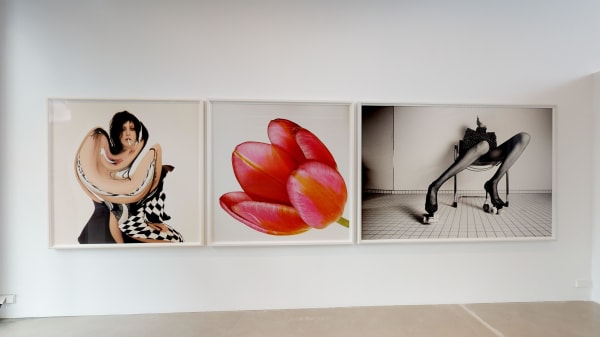 The Ravestijn Gallery I See You In Everything Inez Vinoodh 09202019 094834