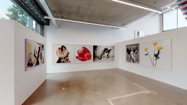 The Ravestijn Gallery I See You In Everything Inez Vinoodh 09202019 094852