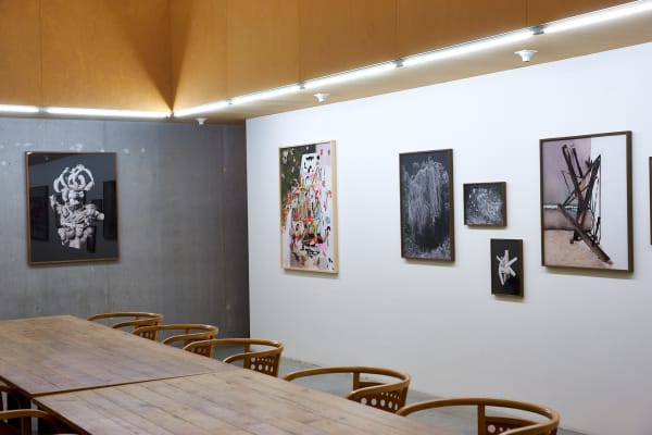 Rav 06 003 Nico Krijno Web