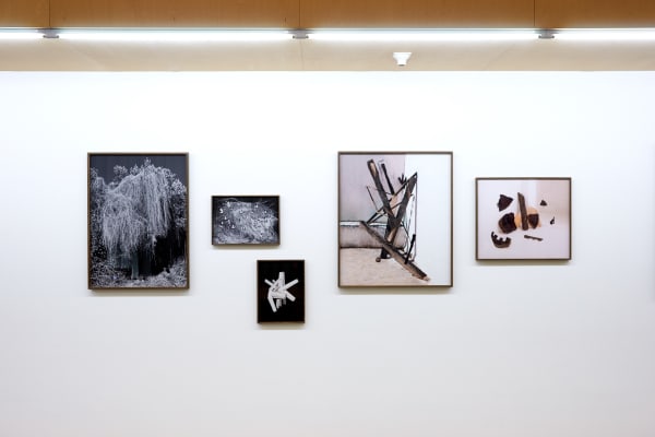 Rav 06 004 Nico Krijno Web