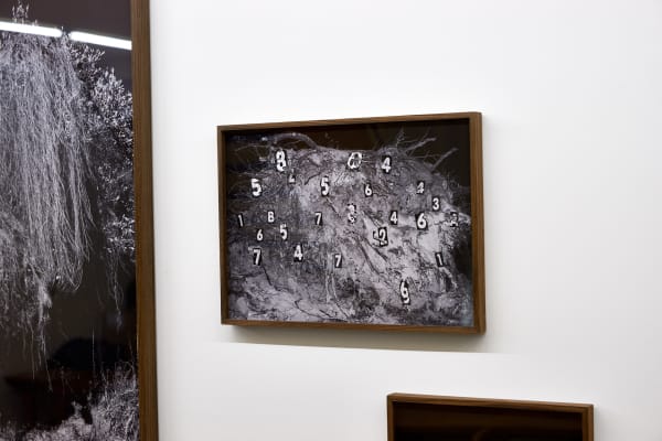 Rav 06 020 Nico Krijno Web