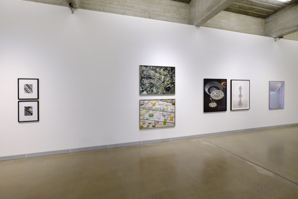 The Lives And Loves Of Images Between Art And Commerce 003